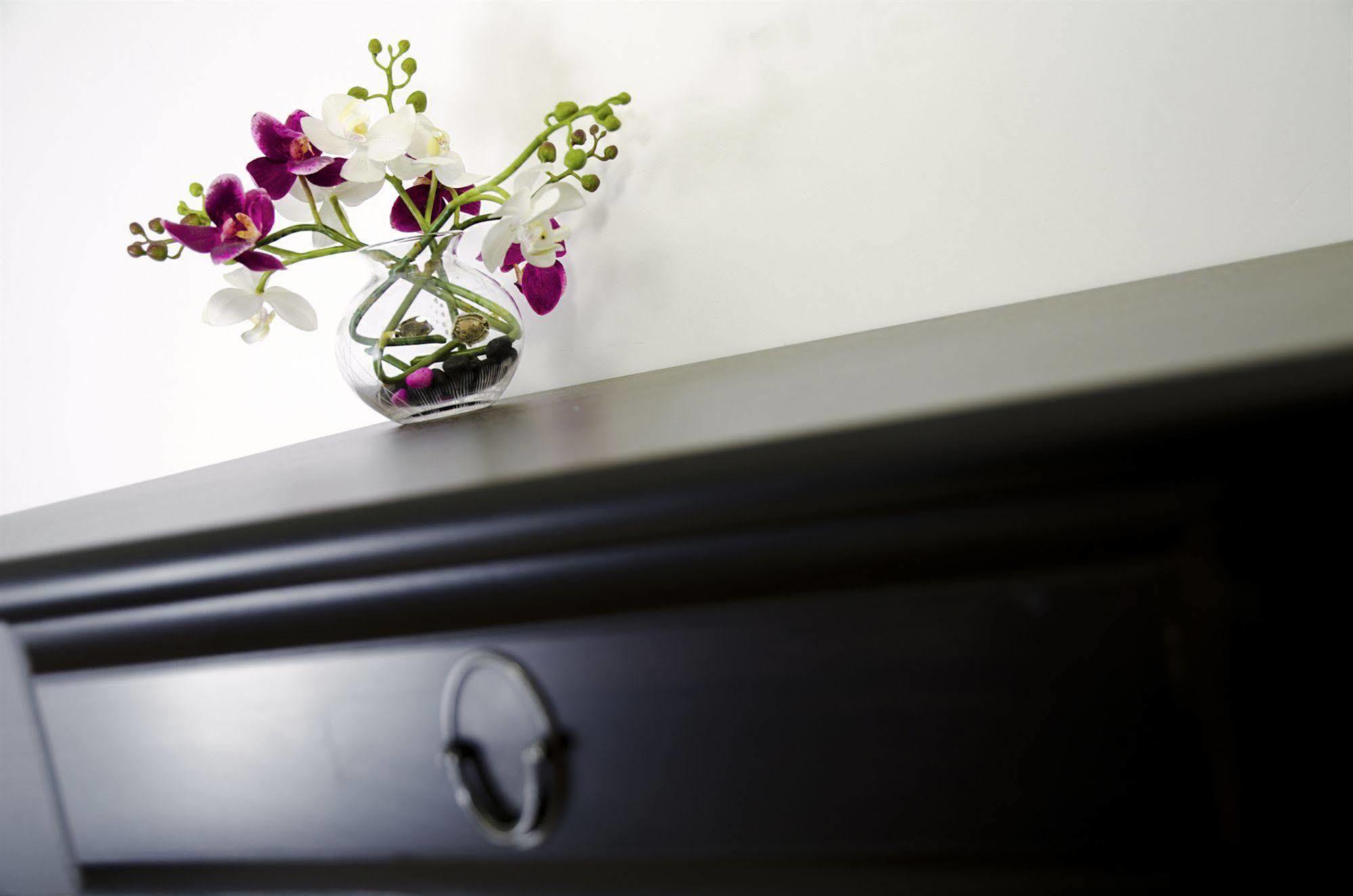 רומא B&B Lost In Trastevere מראה חיצוני תמונה
